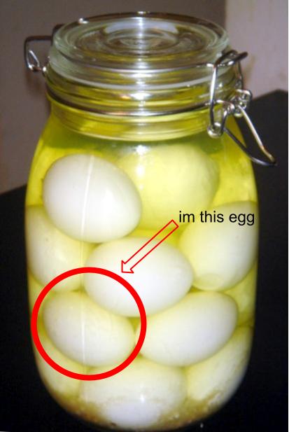 this one egg